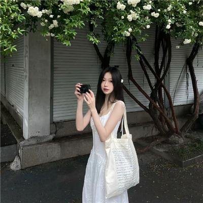 飞燕惊鸿